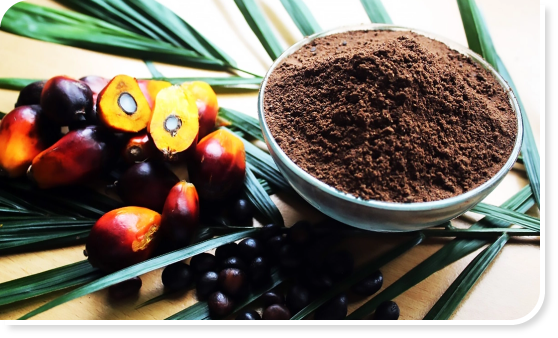 palm-kernel-expeller